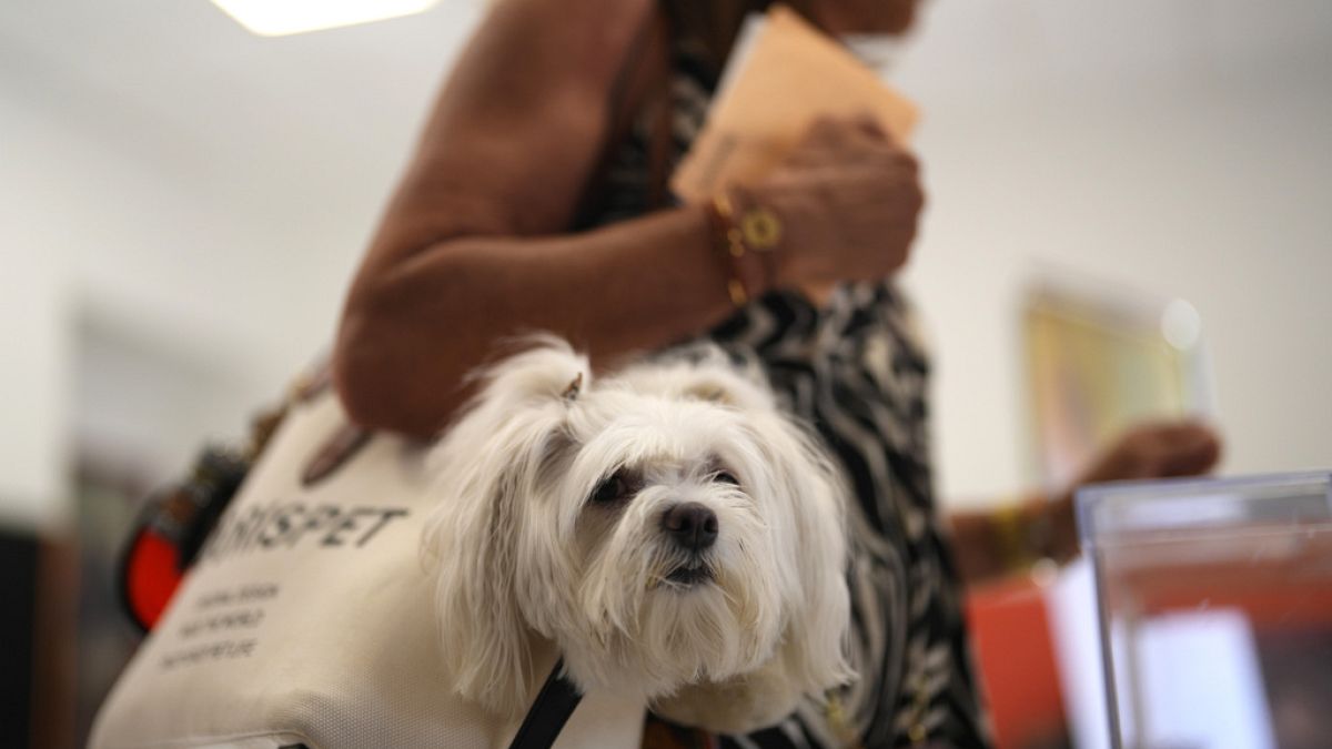 Spain’s first public pet cemetery opens with grief help for homeowners